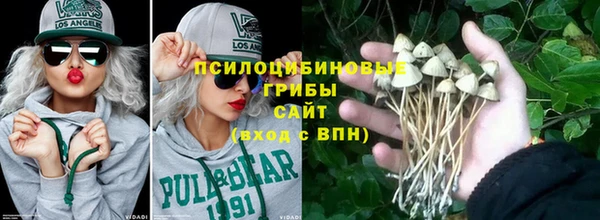 стаф Нефтекумск