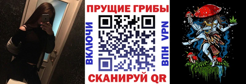 купить сайты Владимир Псилоцибиновые грибы прущие грибы