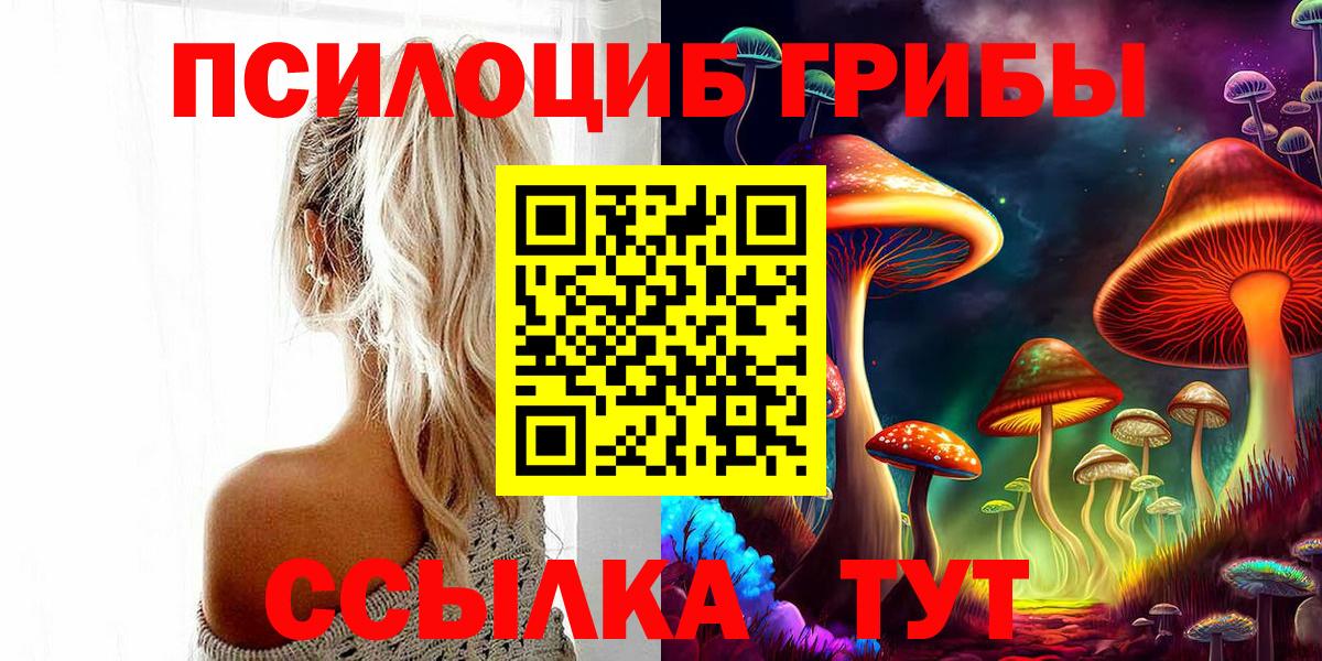 Псилоцибиновые грибы GOLDEN TEACHER  Псилоцибиновые грибы Psilocybe  Вход с VPN  Владимир 