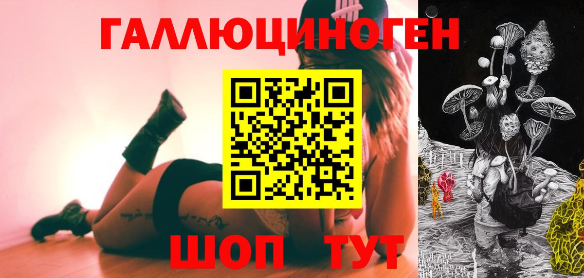 Галлюциногенные грибы Psilocybe  Владимир 